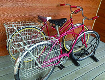 FOR SALE Men’s and Women’s  FOR SALE Men’s and Women’s ”Vintage” Schwinn bikes. ”Tuned up” at Wheaton’s in April. ”Vintage” couple have not so good balance anymore. $300/ea. or $500 for the pair. Bike rack included. 406-844-0162